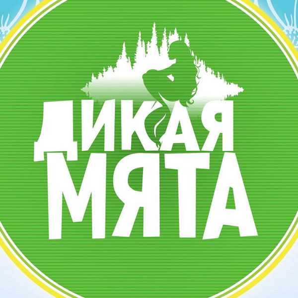 Дикая мята картинка